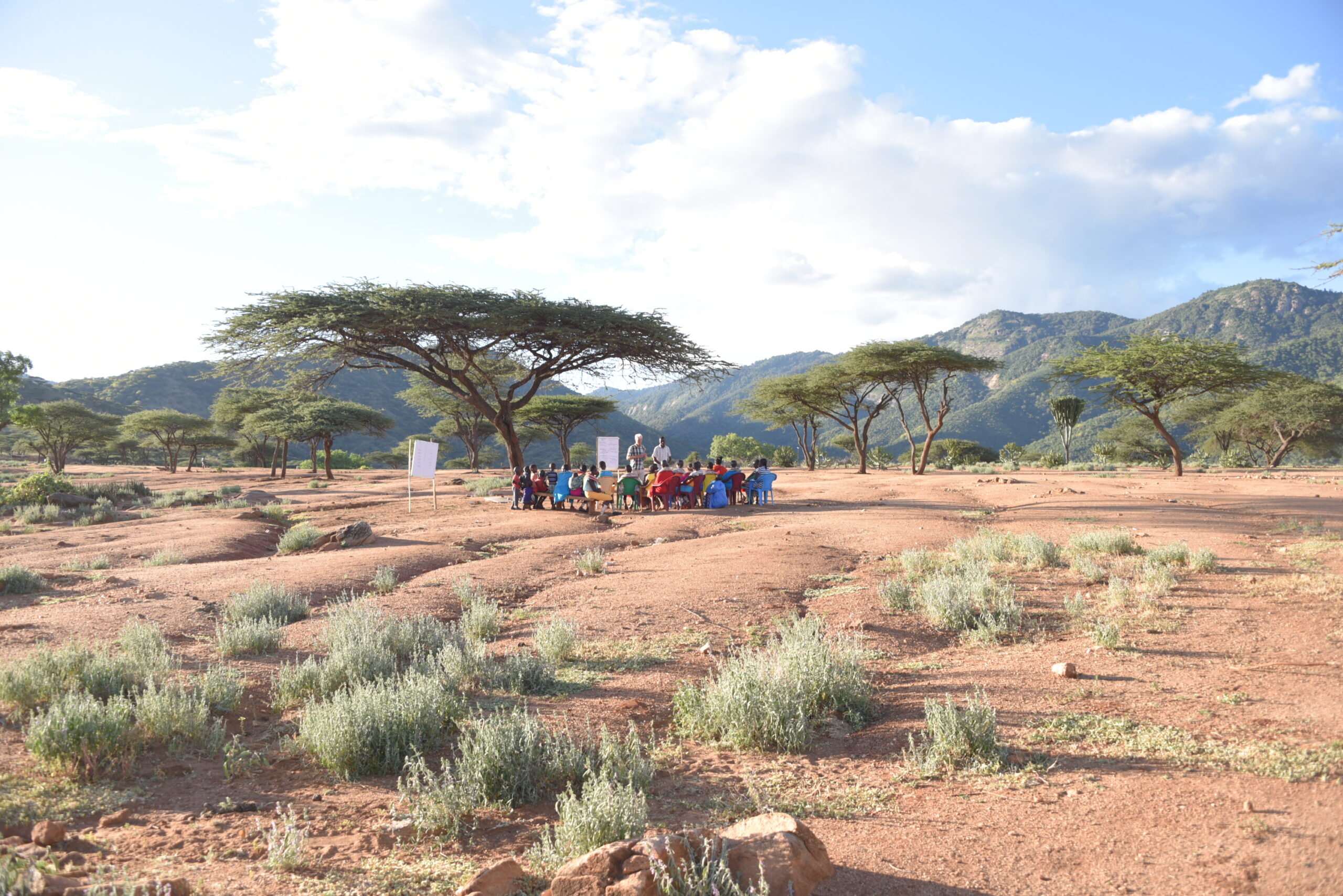 Allan Ward, Leadership and Management Program facilitator conducting a training session under a tree with local Kenyan conservancy members.